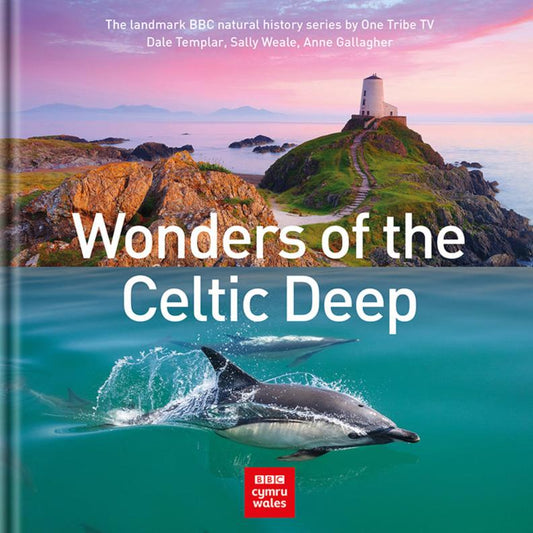 Wonders of the Celtic Deep