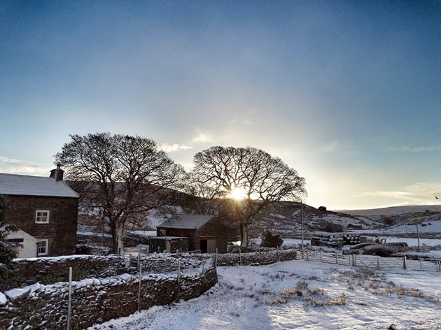 Yorkshire Shepherdess Notecards