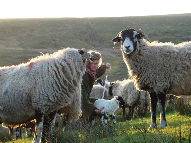 Yorkshire Shepherdess Notecards