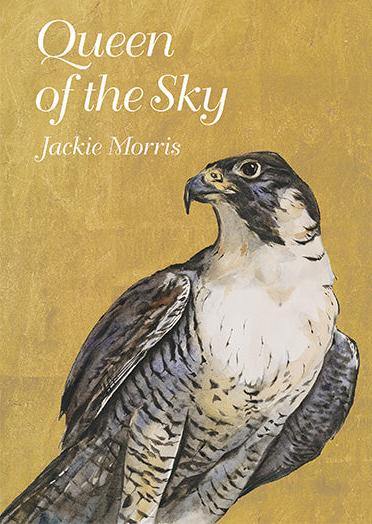 Queen of the Sky – Compact Edition
