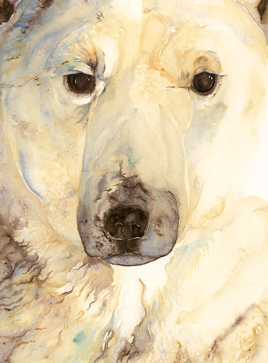 The Ice Bear (Signed Artist edition)
