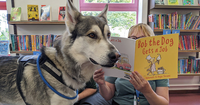 Paws for Reading with Bob the Dog Gets a Job