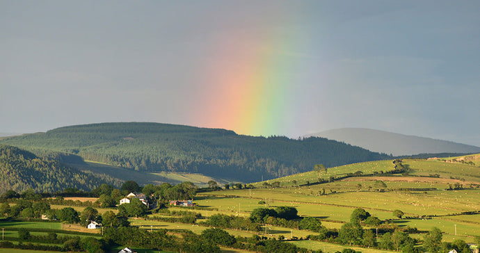 Country Diary Wales by John Gilbey