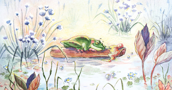 Frog's Bog by Marielle Bayliss and Mariela Malova