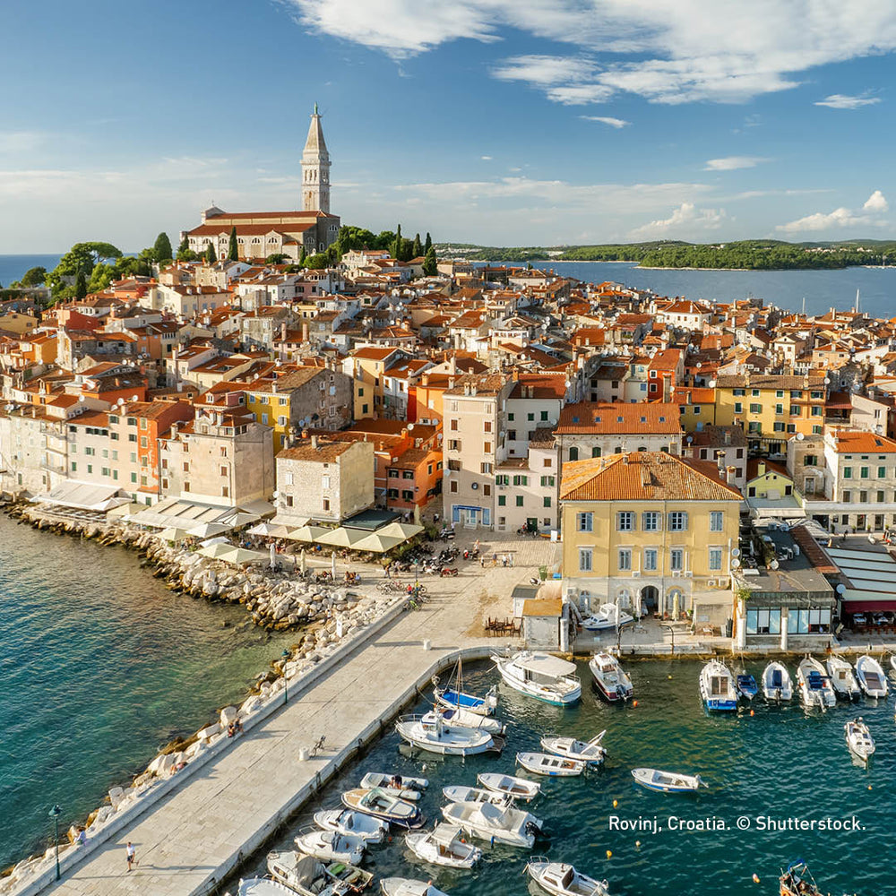 Graffeg’s Top Holiday Picks 2026 | Inspired by Terry Stevens