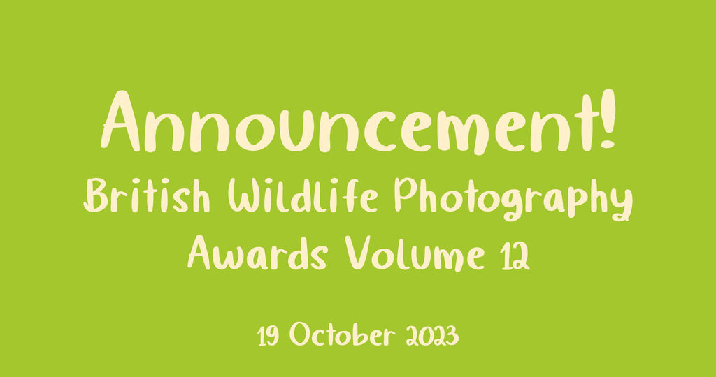 Announcement: Bird Eye Books to publish British Wildlife Photography Awards Volume 12