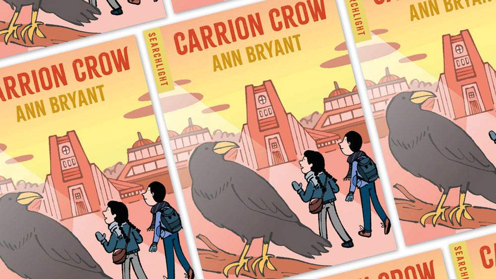 New Title in the Searchlight Series by Ann Bryant