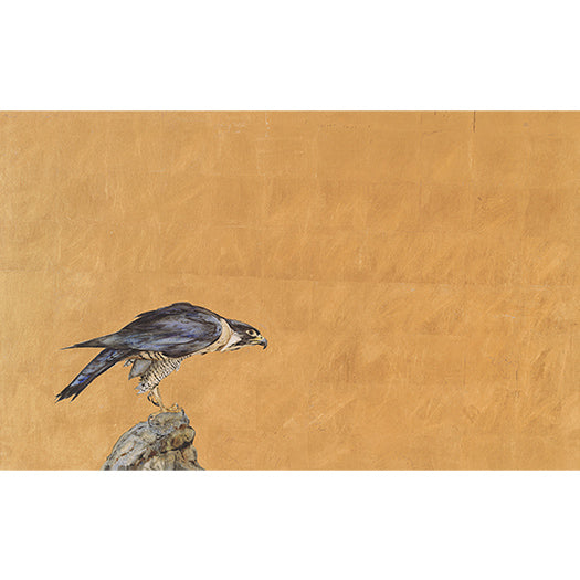 Jackie Morris and Nicola Davies Nominated for 2026 Astrid Lindgren Memorial Award