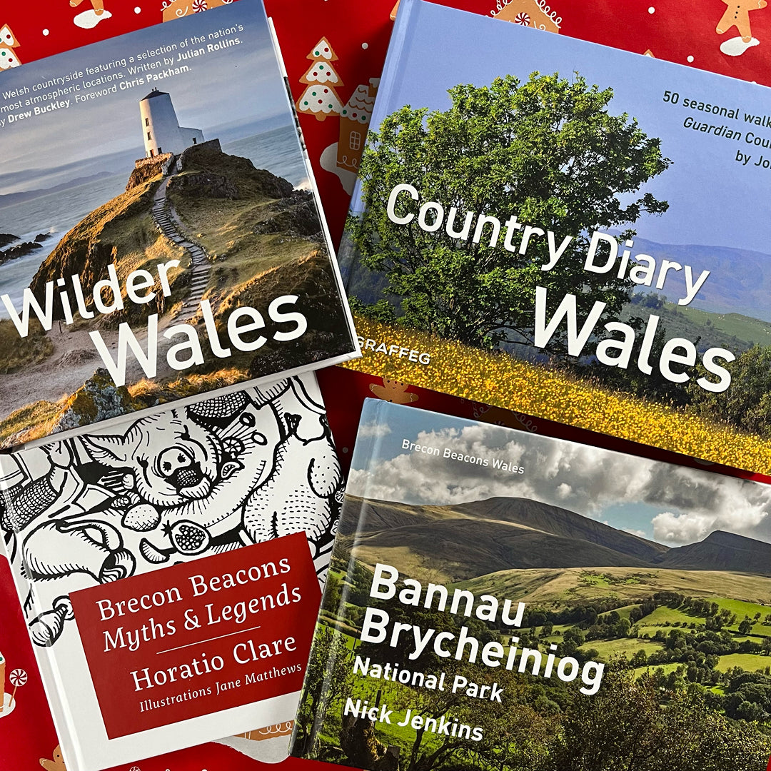 Christmas Landscape Book Bundle