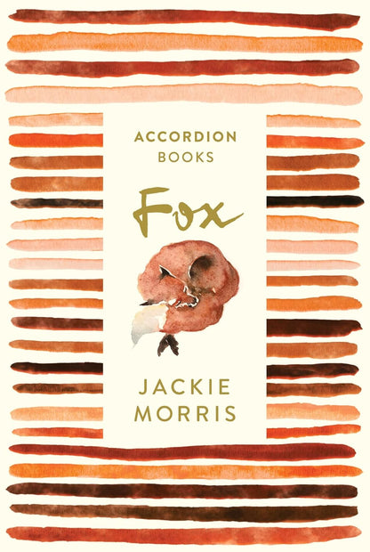 Book cover of Jackie Morris: Fox, Accordion Books, with watercolour fox illustration and orange border stripes.