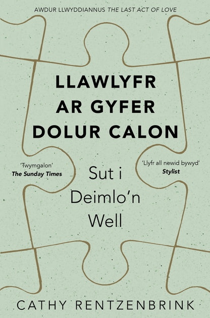 Llawlyfr ar Gyfer Dolur Calon