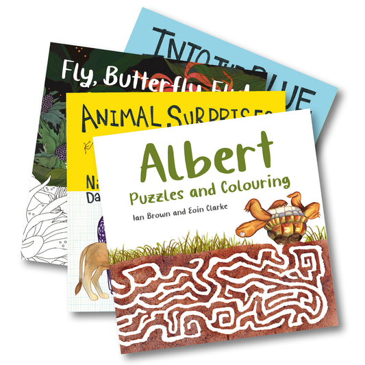 Activity Books 4 for £20