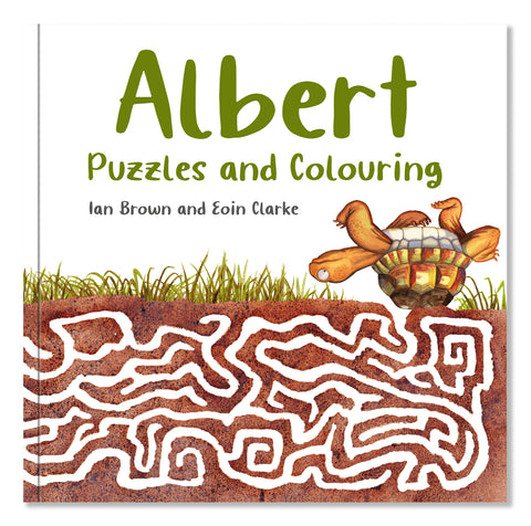 Albert the Tortoise: 4 for £20 & Free UK Delivery