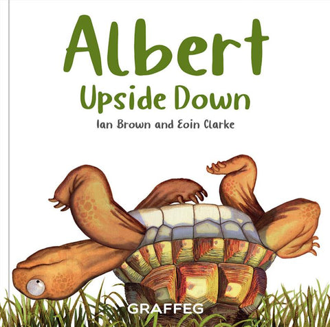 Albert the Tortoise: 4 for £20 & Free UK Delivery