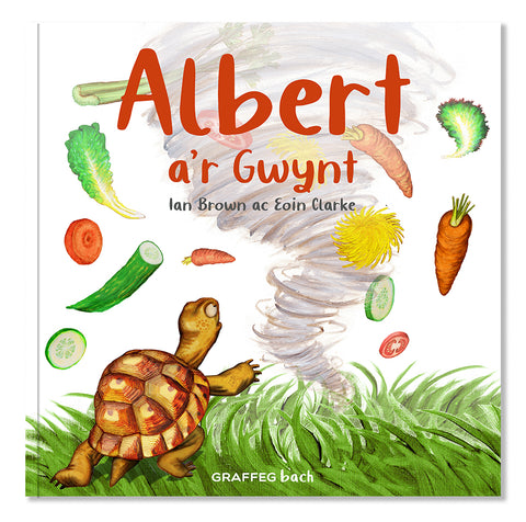 Albert the Tortoise: 5 for £25 & Free UK Delivery