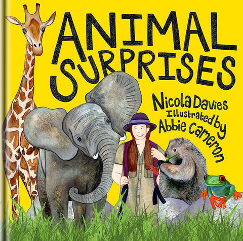 Animal Surprises: 4 for £20 & Free UK Delivery