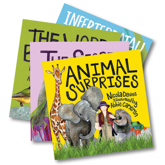 Animal Surprises 4 for £20