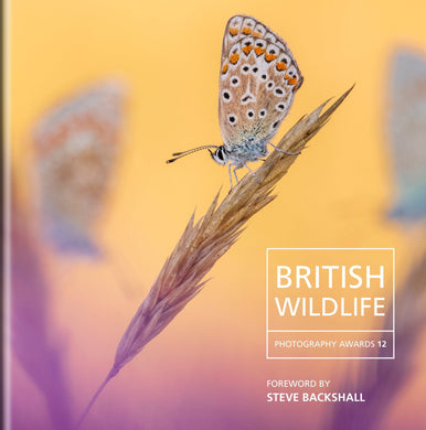 Celebrating the thirteenth British
Wildlife Photography Awards. £15,000 prize money available, with
winners across 12 categories plus an
overall winner. Categories include: Animal behaviour,
animal portraits, botanical Britain,
black & white, British seasons, coast &
marine, habitat, hidden Britain, urban
wildlife, wild woods, documentary
series – showcasing the best of British
wildlife and rare moments to celebrate.Includes the RSPB Young British
Wildlife Photographer of the Year.