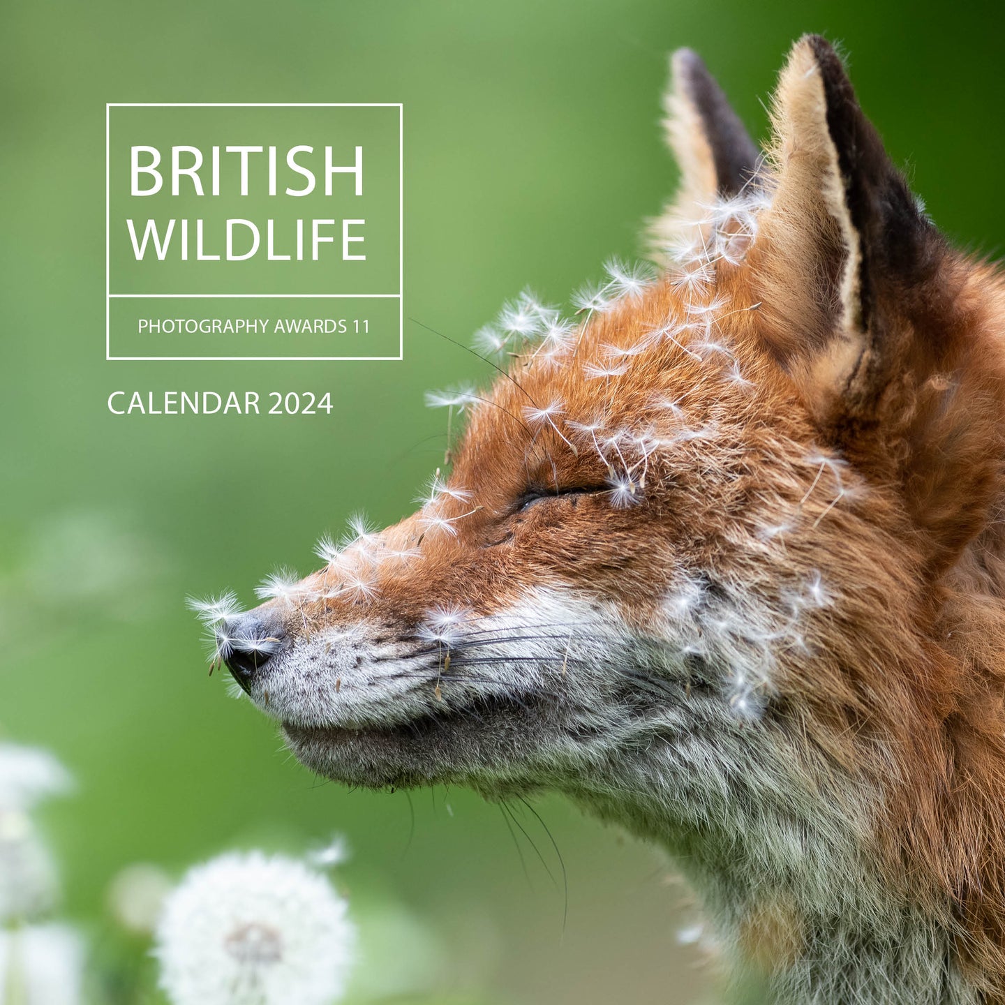 British Wildlife Photography Awards Calendar 2024 Graffeg Books