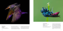 Load image into Gallery viewer, British Wildlife Photography Awards 12
