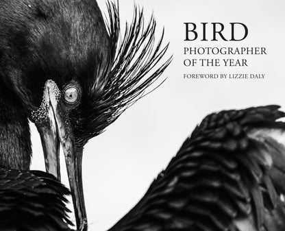 Bird Photographer of the Year 2026