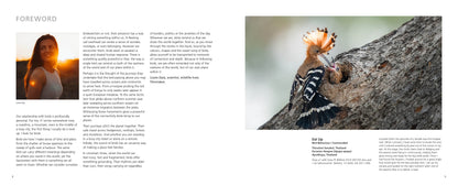 Bird Photographer of the Year 2026