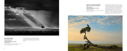 Bird Photographer of the Year 2026