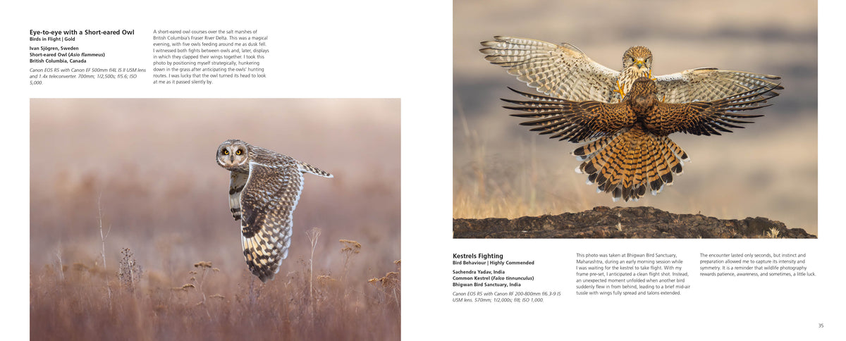 Bird Photographer of the Year 2026