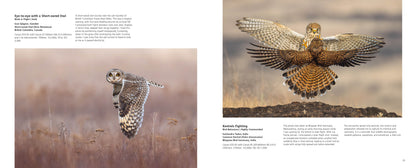 Bird Photographer of the Year 2026