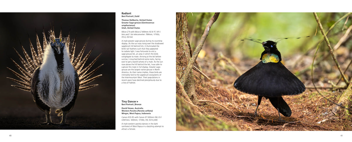 Bird Photographer of the Year 2026