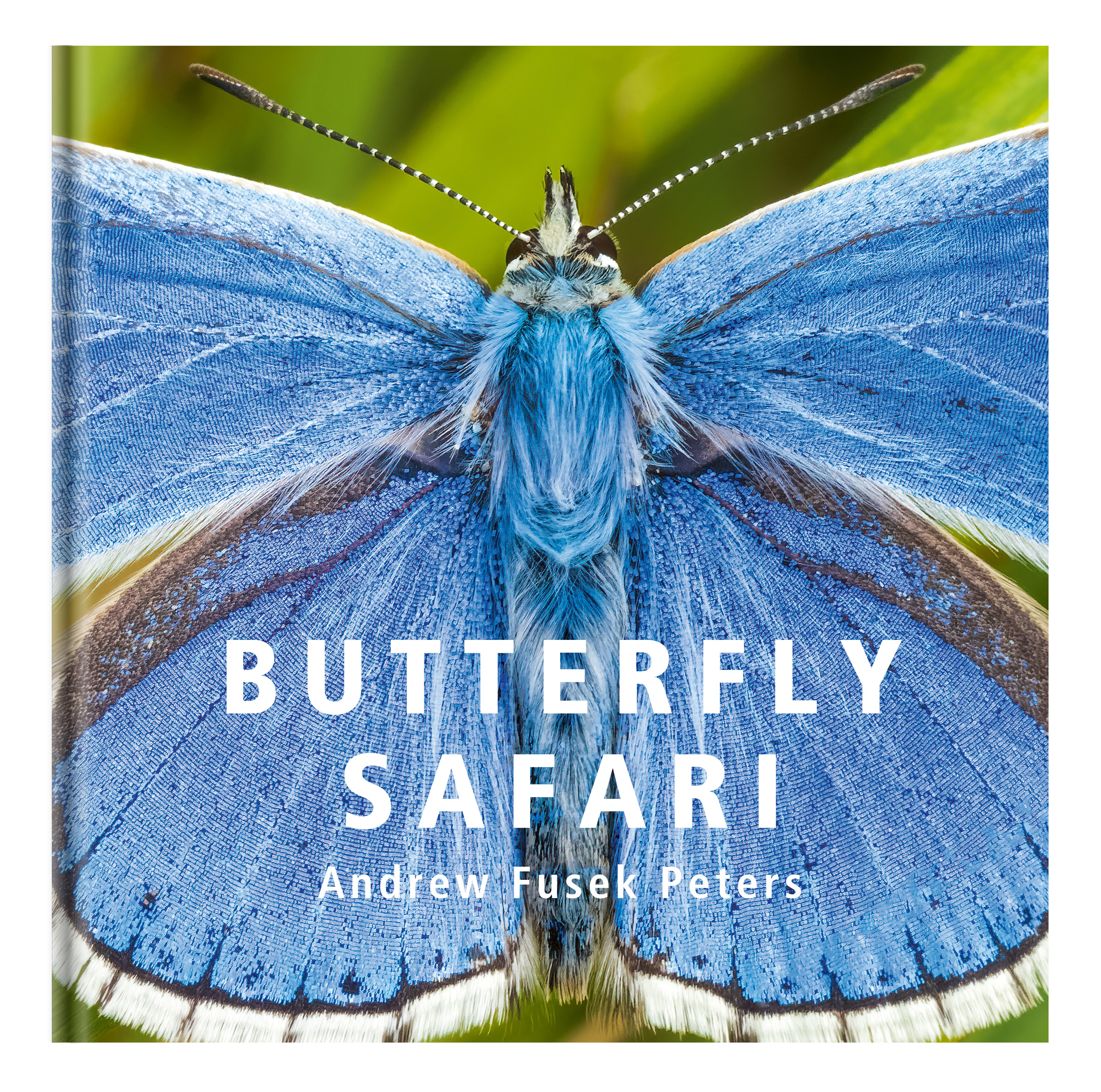 Butterfly Safari - Hardback Photography Book - Andrew Fusek Peters