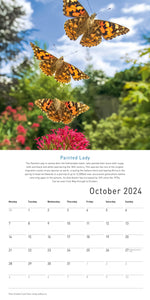Butterfly Safari Calendar 2024