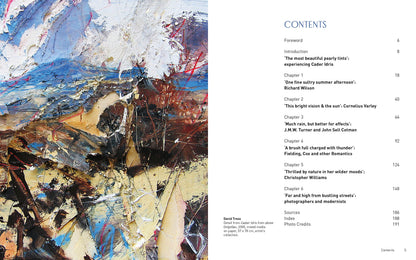 Cader Idris and the Artists