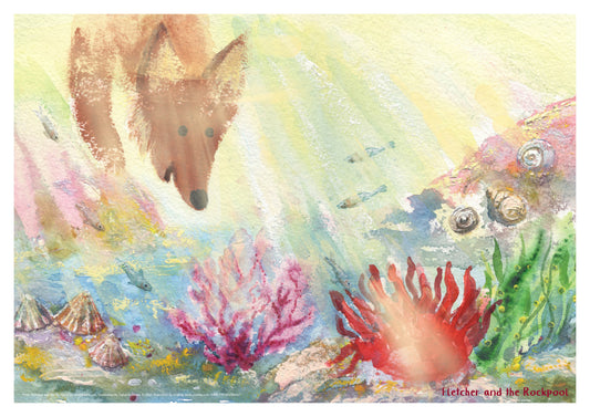 Rockpool ‚ Fletcher and the Rockpool Poster
