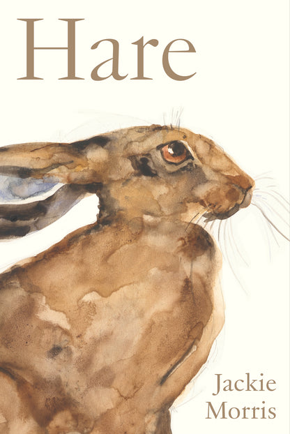 Accordion Book: Hare