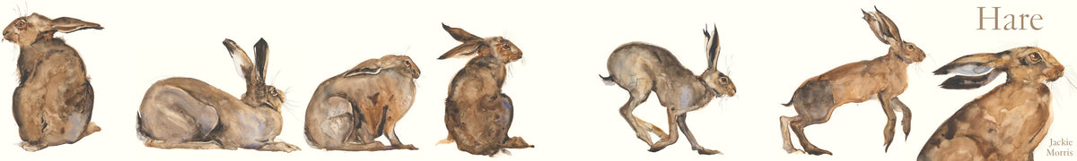Accordion Book: Hare