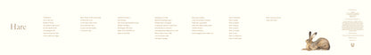 Accordion Book: Hare