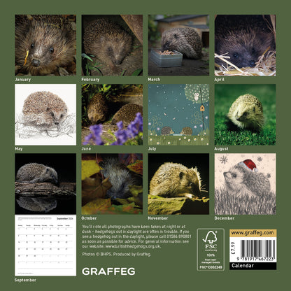 The Hedgehog Calendar 2026