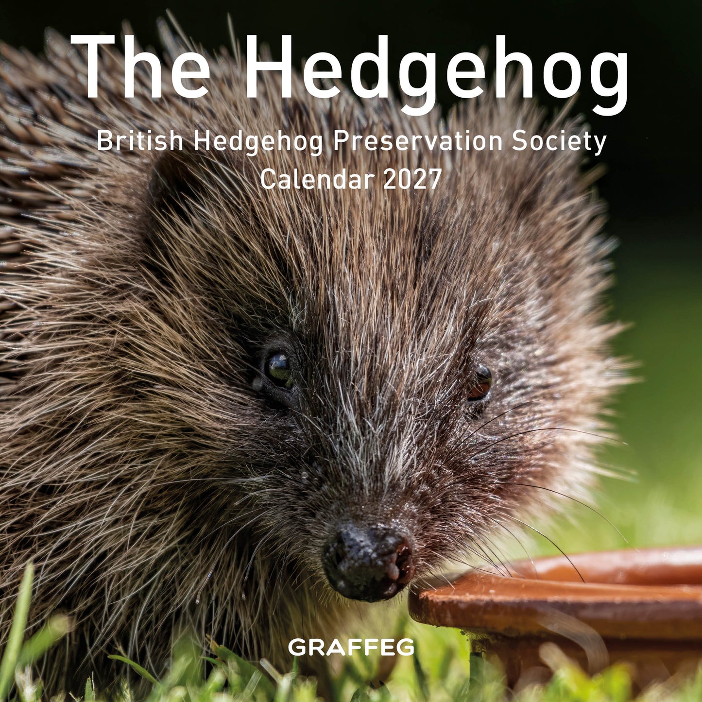 The Hedgehog Calendar 2027