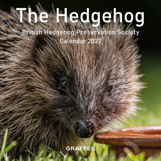 The Hedgehog Calendar 2027