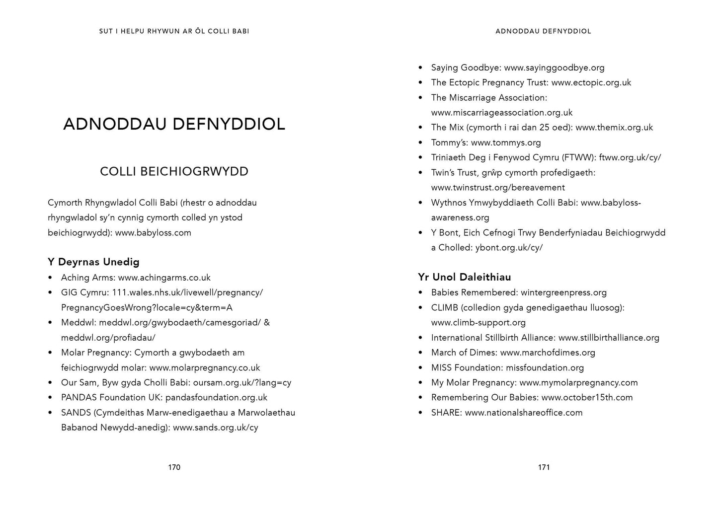 Sut i Helpu Rhywun ar ôl Colli Babi