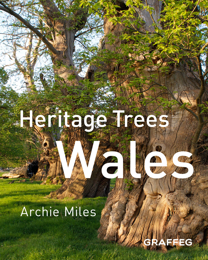Heritage Trees Wales - Second Edition