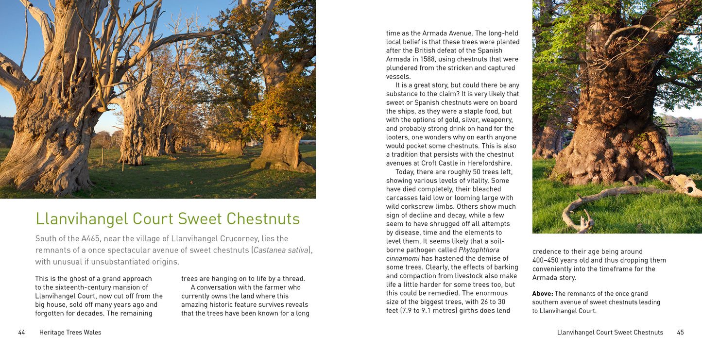 Heritage Trees Wales Compact