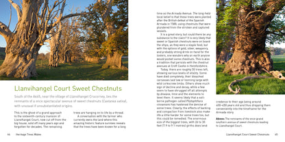 Heritage Trees Wales Compact