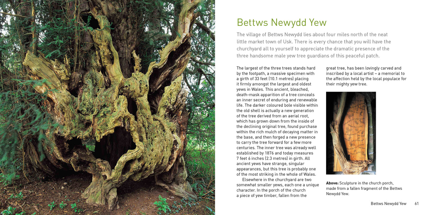 Heritage Trees Wales Compact