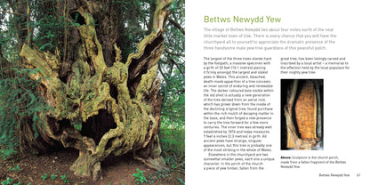 Heritage Trees Wales Compact