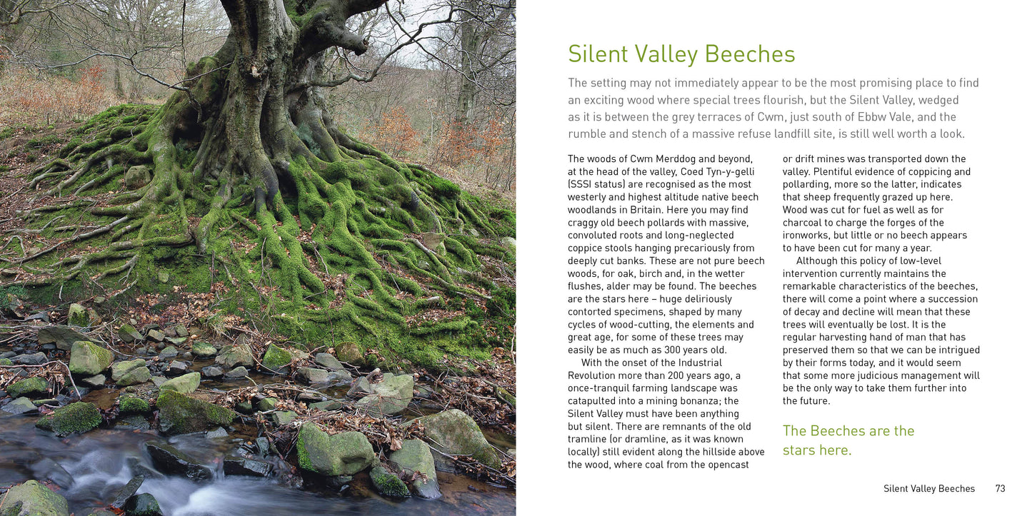 Heritage Trees Wales Compact