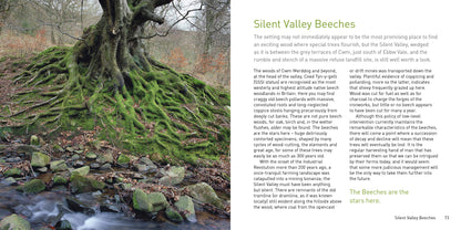 Heritage Trees Wales Compact