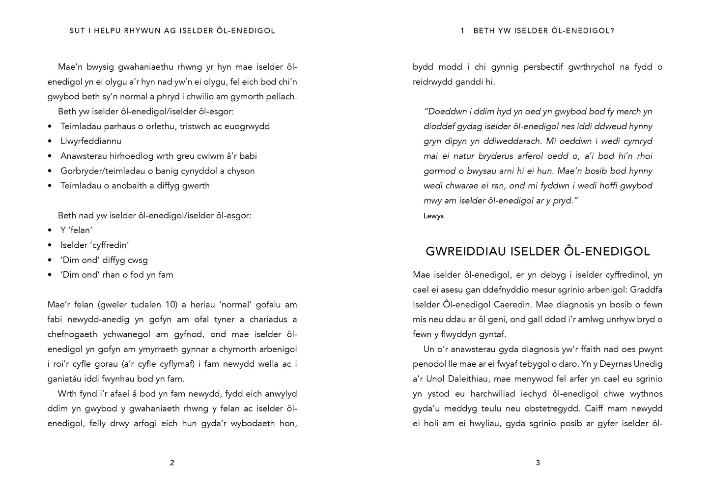 Sut i Helpu Rhywun ag Iselder Ôl-enedigol