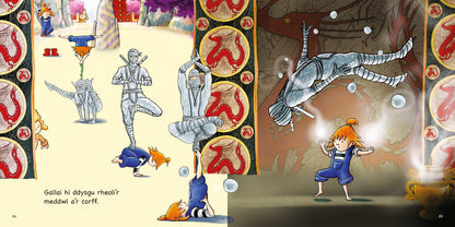 Mae Rita Eisiau Ninja